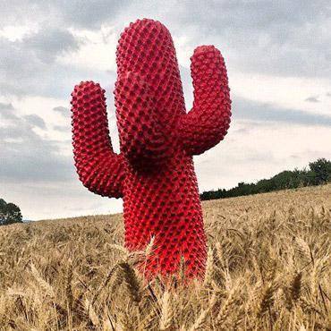 CACTUS - Porte-manteau
